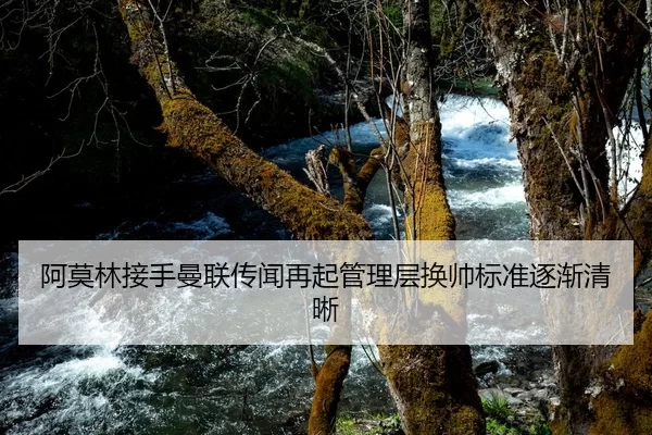 阿莫林接手曼联传闻再起管理层换帅标准逐渐清晰
