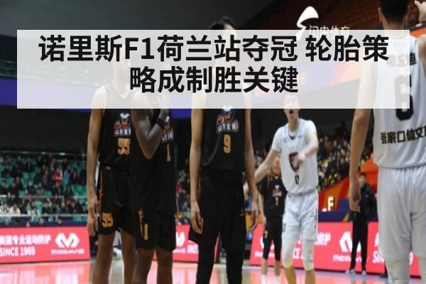 诺里斯F1荷兰站夺冠 轮胎策略成制胜关键